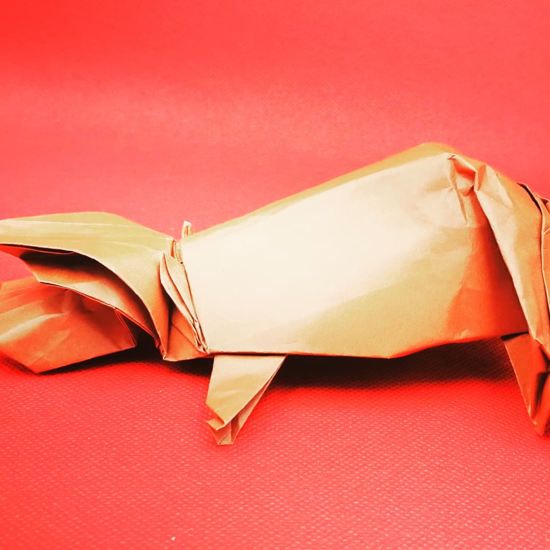 haidewiets's tweet photo. Monday December 6th, 2021

Holiday Red
Festive flat.... 

Hippopotamus Opus 654
Robert J. Lang

 #hippo #hippopotamus #opus654
#festive #flat #holidays2021 
#haidewiets  #ZheZhi  #origami 
#h折り紙 #摺紙 https://t.co/mWF6dW9EBK