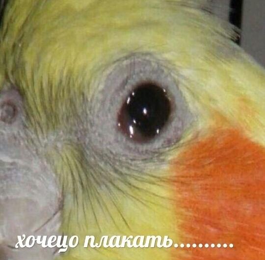 Дом ру...... За что мы платим деньги.....