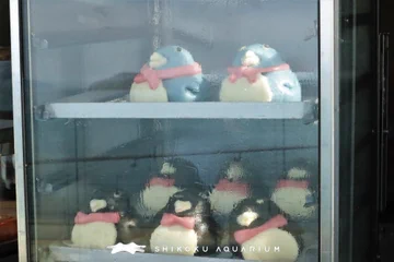 画像 / Picture