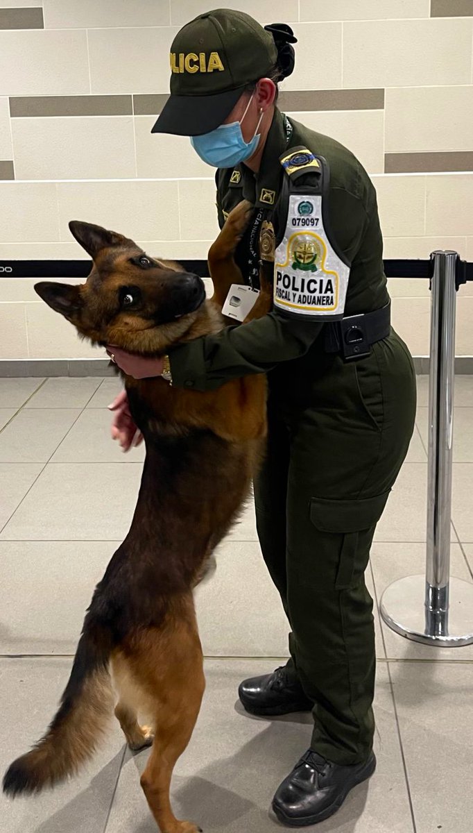 PoliciaBmanga's tweet image. En ocasiones sobran las palabras 💚🐕🐾. #YoProtejoLosAnimales