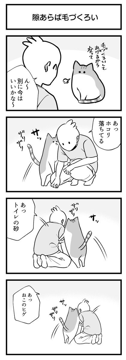 隙あらば毛づくろい 