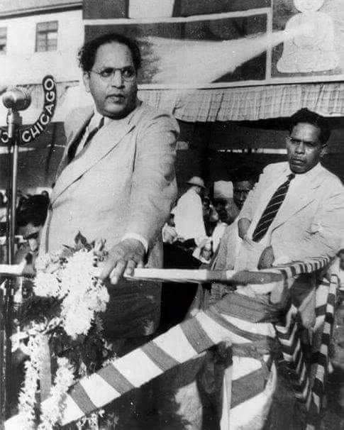 VarshaEGaikwad's tweet photo. From being a student banished to a corner of class, to studying at Columbia &amp; LSE, to shaping the nation by drafting the Constitution, Bharatratna Dr. Babasaheb Ambedkar's life inspires us daily. On #MahaParinirvanDiwas, I am grateful to live in an India built on his ideals. https://t.co/ZKGkXjbi7V