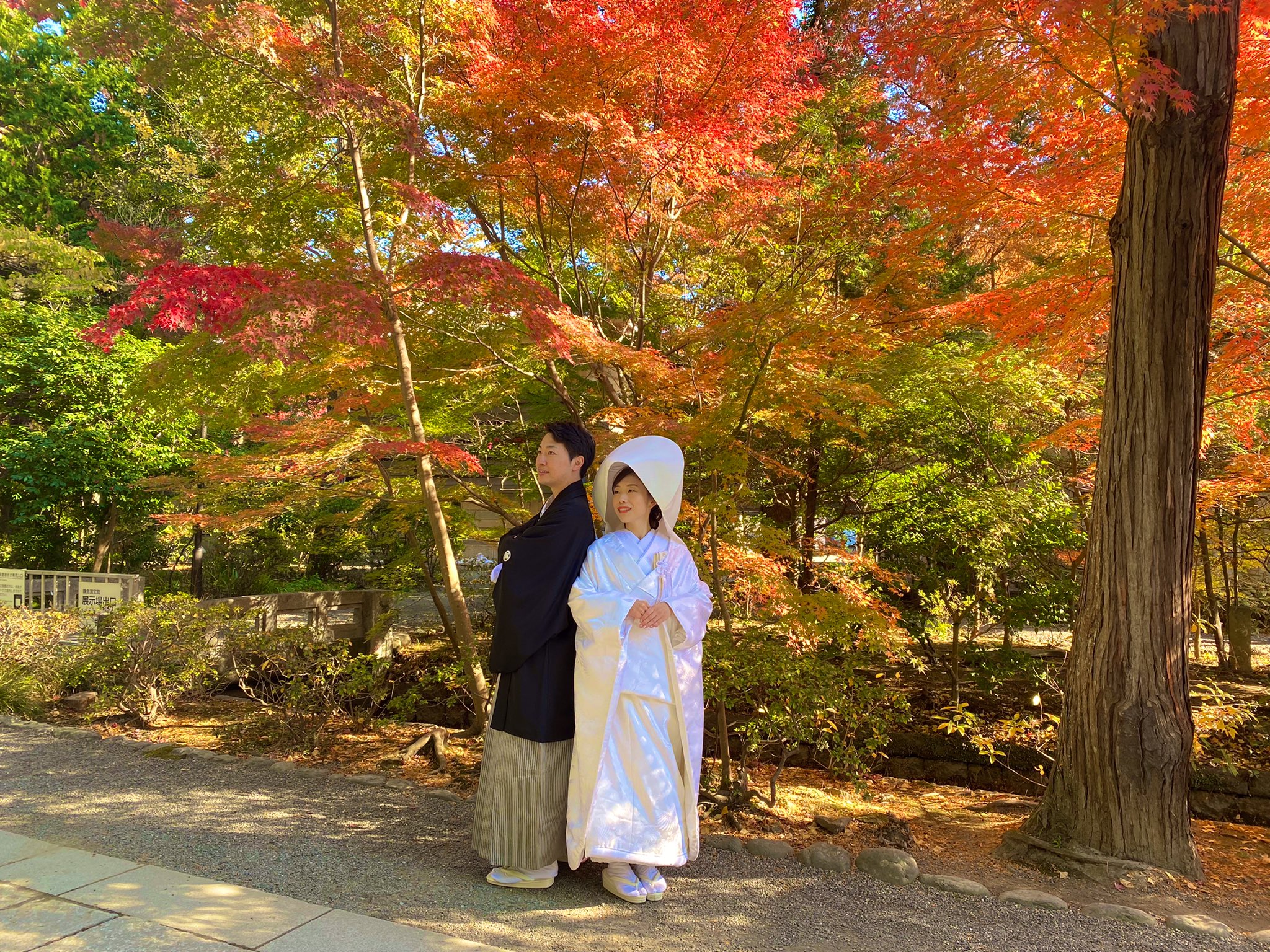 公式 鶴岡八幡宮神前結婚式 鶯吟亭 境内では紅葉が色づき素紅葉との素敵なお写真を撮影させて頂いております 桜に次いで人気なシーズンですので お早めにご予約くださいませ 紅葉 鶴岡八幡宮 結婚式 T Co K2yrwomqti Twitter