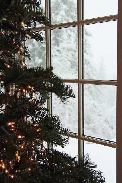 piecebypieceee's tweet photo. 🎄✼ ҉ ✼ ҉ 𝟷𝟿 𝚍𝚊𝚢𝚜 𝚞𝚗𝚝𝚒𝚕 𝙲𝚑𝚛𝚒𝚜𝚝𝚖𝚊𝚜 ✼  ҉ ✼ ҉ 🎄 https://t.co/i43rWniMeW