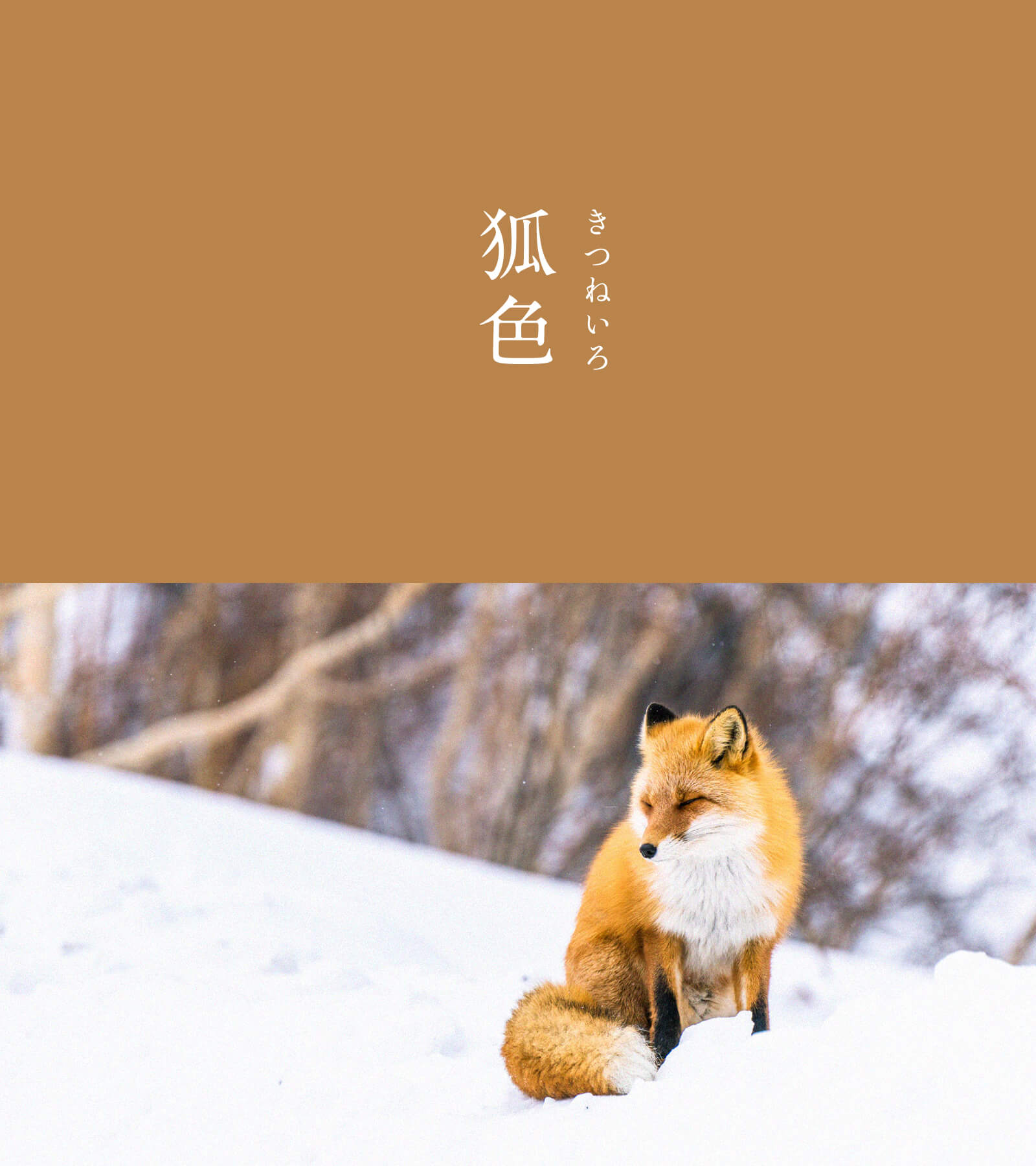 暦生活 on X: 