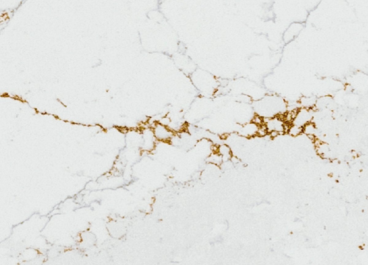 est_living's tweet photo. DESIGN COVET | Inspired by the dream-like quality of what lies above, the new @Silestone Ethereal stone collection sees equal consideration for its impact on the planet.
See more: https://t.co/rcUderNBNZ
#Palette #Design #Stone #Featured #BrandtoKnow #Covet https://t.co/SOItjgtjv0