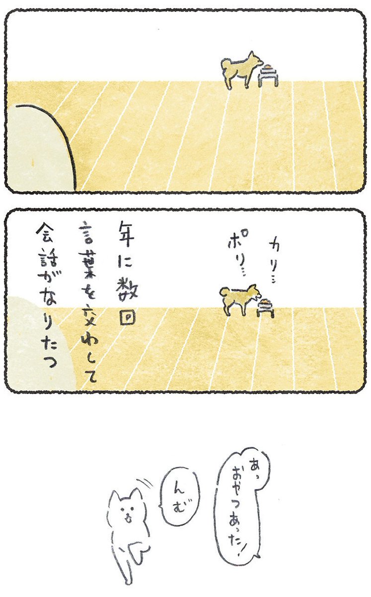 年に数回だけ見ることができる、
こつぶのレアなシーン3点!😆🐶
リプにつづきが読めるURL貼ります
(12月7日.朝10時までどなたでも)
#豆しばこつぶ