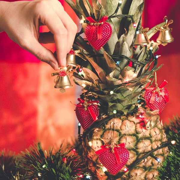 The Yearly Christmas Debate: Real or Fake Tree?

Read more 👉 lttr.ai/pslK

#plasticfree #christmas #realchristmastree