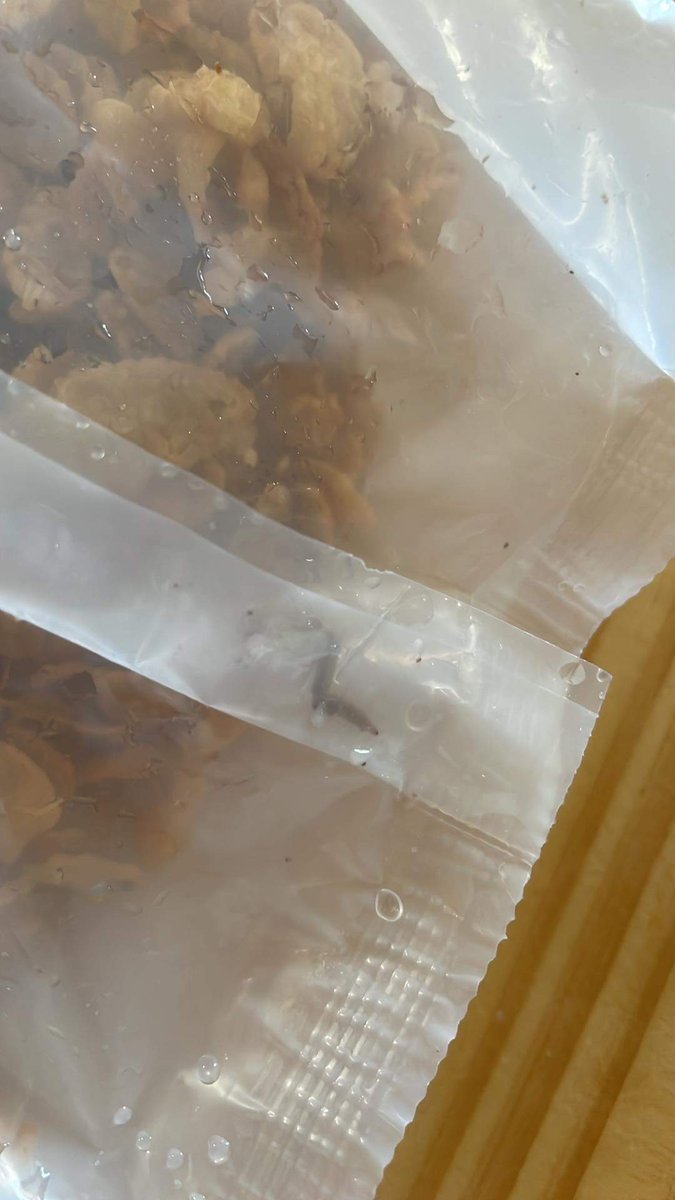 raynavihuela's tweet photo. @Tesco I bought a box of your cereal at @smsupermalls Hypermarket Tiendesitas and look what I found inside... maggots. 🤢

The cereal bag is unopened, and there they are inside! The box was unopened too. I was cleaning the kitchen and saw maggots crawling on the box. Yuck. https://t.co/h65mJN4SdP