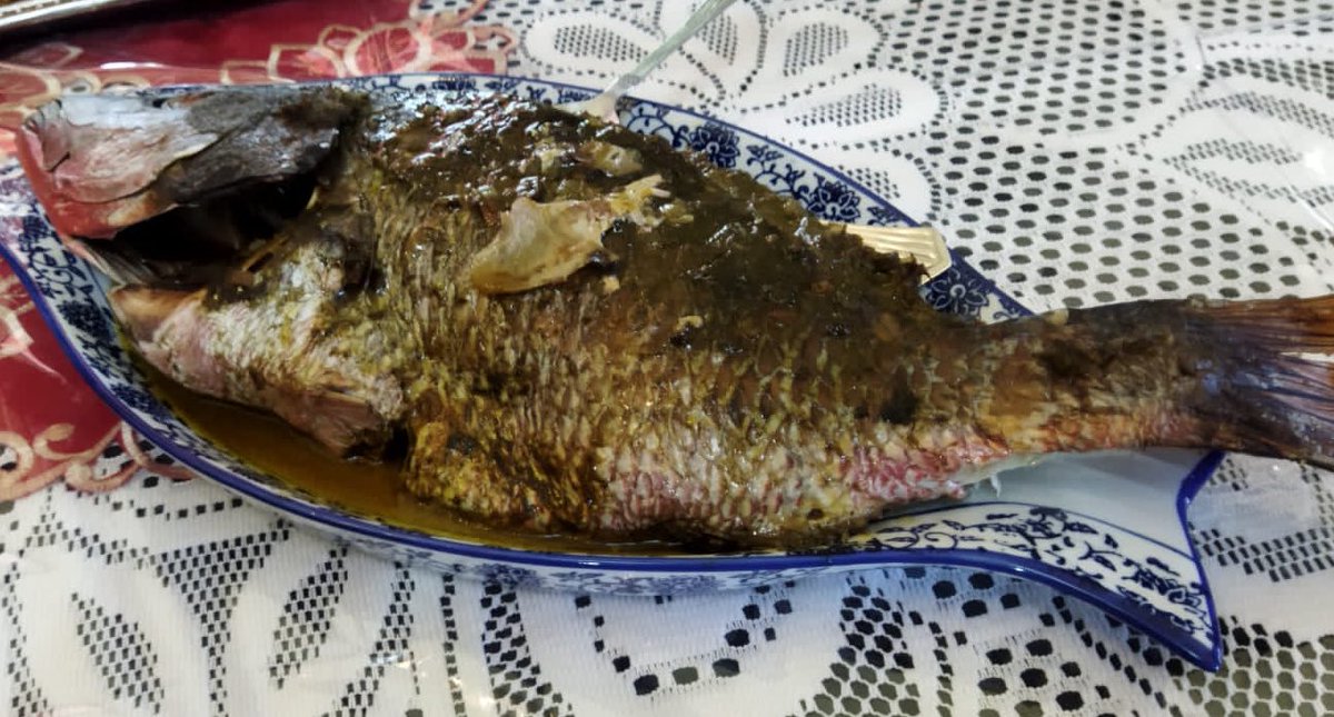 TheDaniverse's tweet photo. Guess the name of this fish. https://t.co/DZTOfNMFuu