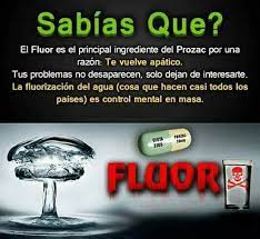 33_indigo's tweet photo. @LevyRincon @agmethescaf @DonIzquierdo_ @LupeMohawk agmeth déjate educar te gusta ser twittero aprende entonces por favor: El flúor produce daños en la glándula pineal puesto que se acumula en ella, produciendo una reducción de la melatonina, que es una hormona que producimos durante el sueño y que tiene efectos anticancerígenos. https://t.co/SE4jQQRI3Y