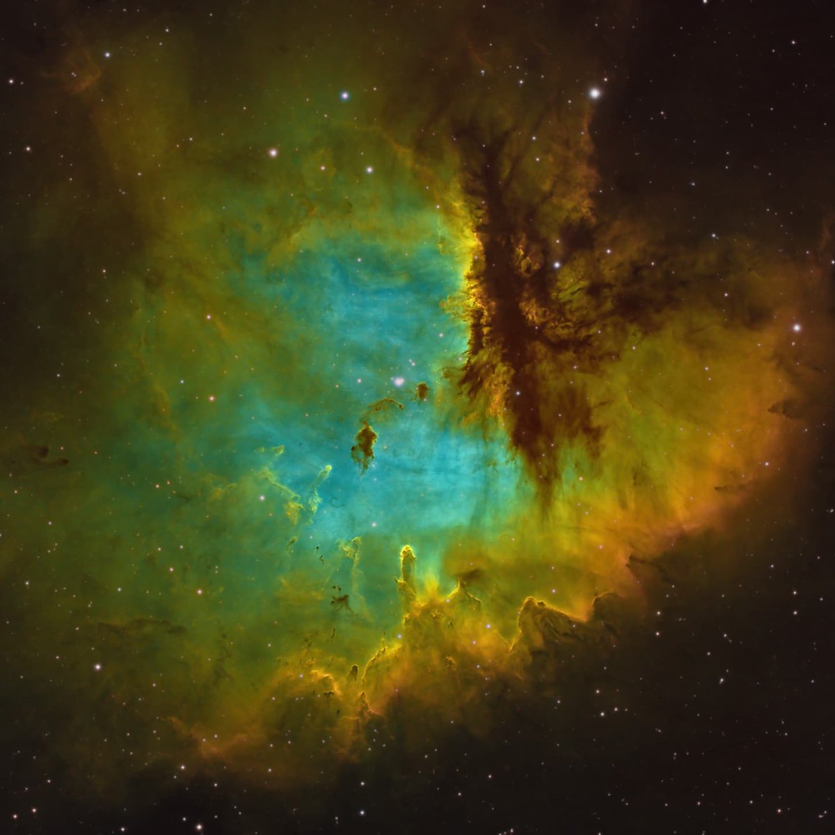 Mathew Ray tweet media