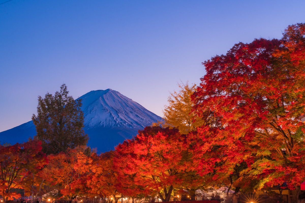 富士河口湖紅葉まつり Mt.Fuji