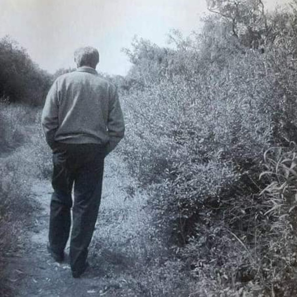 ferchu1001's tweet photo. Te entregamos sueños, nos devolviste realidad... #Tabare 🕊️🌹
Y acá estamos en la lucha, porque como nos pediste compañero, no nos rendimos.
Tú legado está más vivo que nunca, marcaste el rumbo, y por ese trillo vamos mirando y construyendo futuro. ❤️💙🤍 https://t.co/ybOqc4RjjT