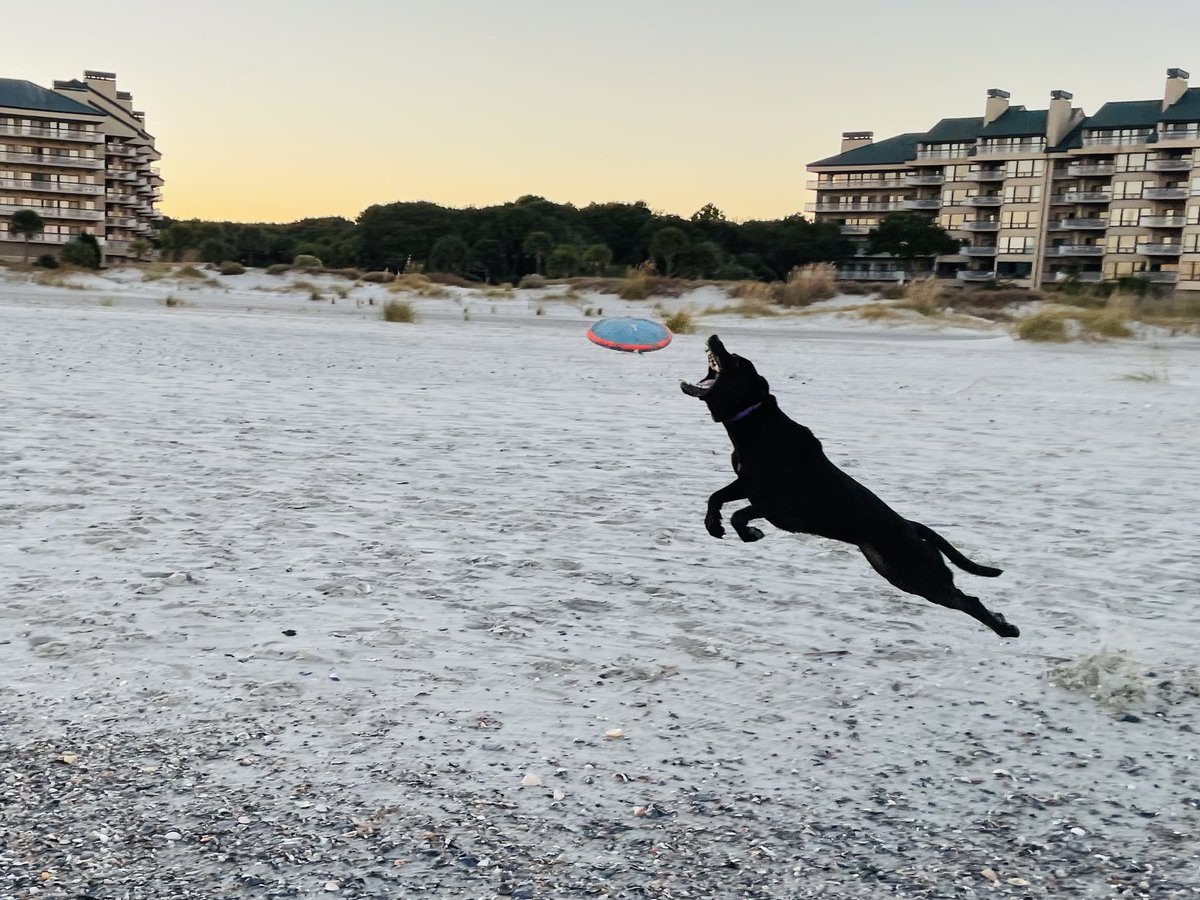 Zoe in flight
