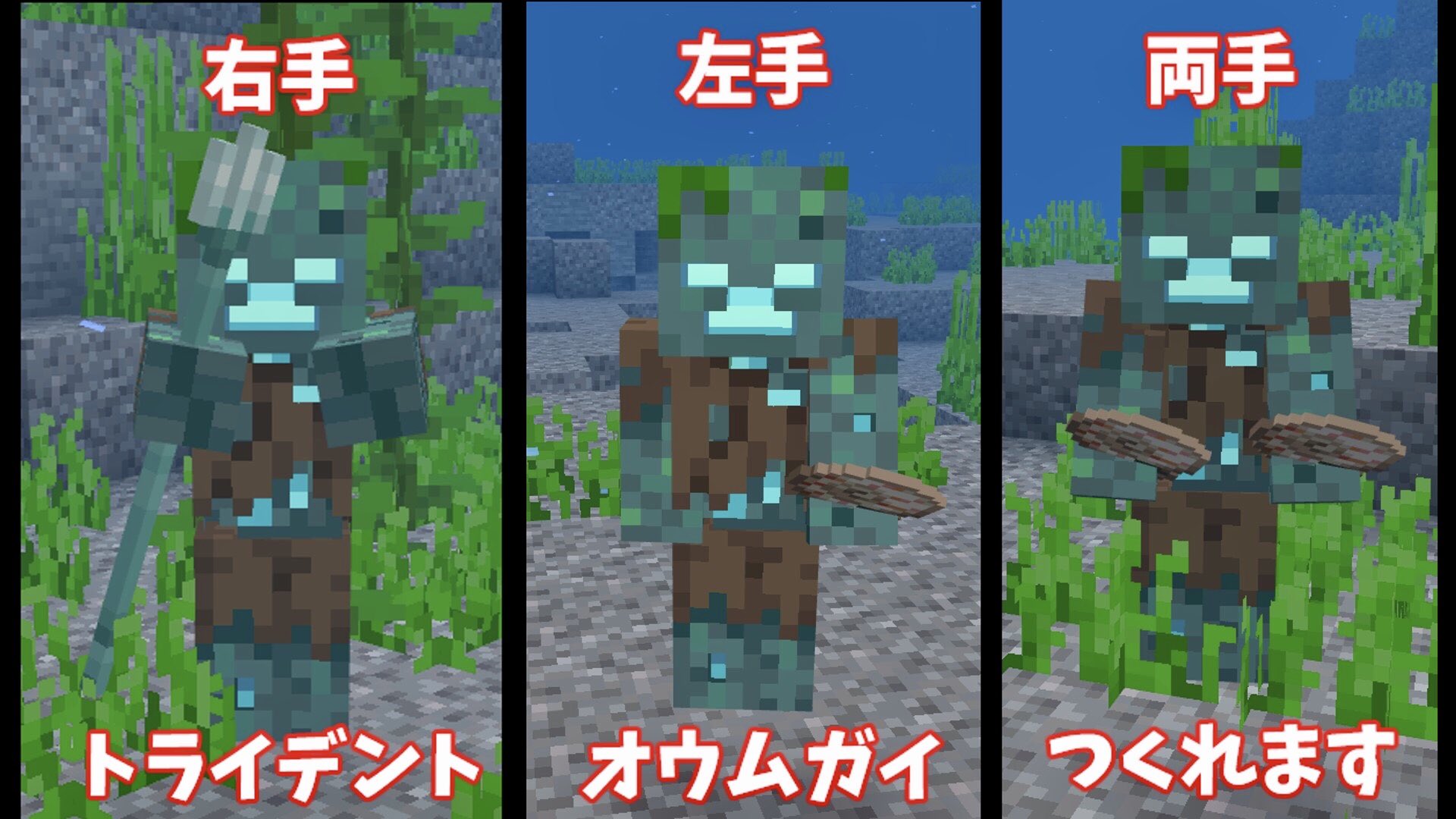 バババンガチャンネル こんにちはー 私今までちゃんとわかっていませんでした トライデントは右手持ち オウムガイは左手持ち みなさんは知っていましたか よーし 今日も楽しく撮影がんばります٩ ๑ ᴗ ๑ ۶ﾙﾝﾙﾝ みなさん今日も楽しい1日