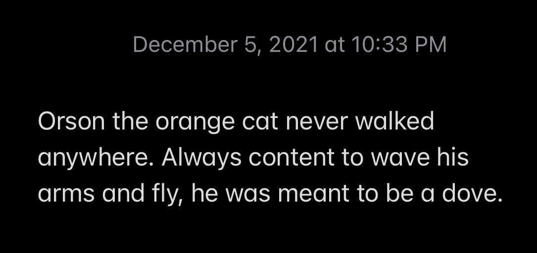 CatMicroFic's tweet photo. “Orson’s Flight”
⛅️🐈🕊☁️

A short work of cat flash micro fiction https://t.co/vVnnFEGvAc