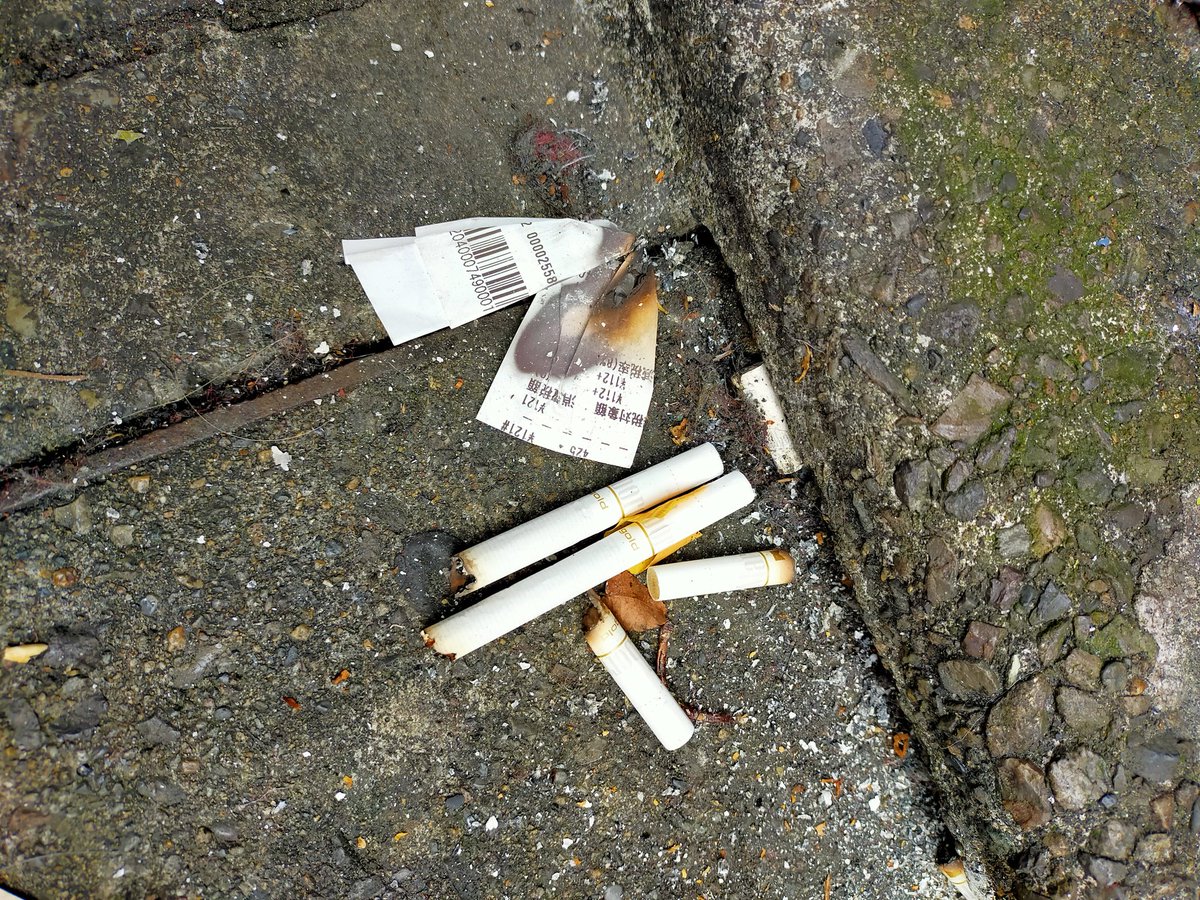中野のポイ捨てはしかし醜い タバコはほぼ消さずにポイポイポイ 紙燃えてますから 中野区 中野 たばこ ポイ捨て Sdgs なんて 21 12 06 神楽坂ねこの郵便局というなまえのお店