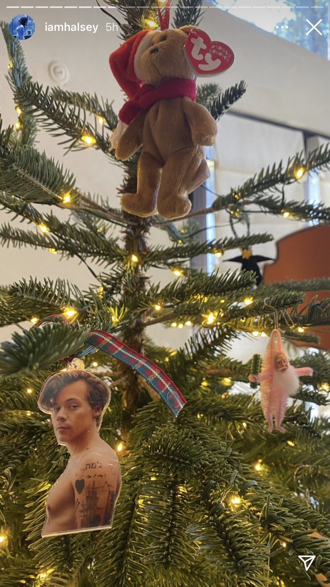 Halsey gercek bir fan