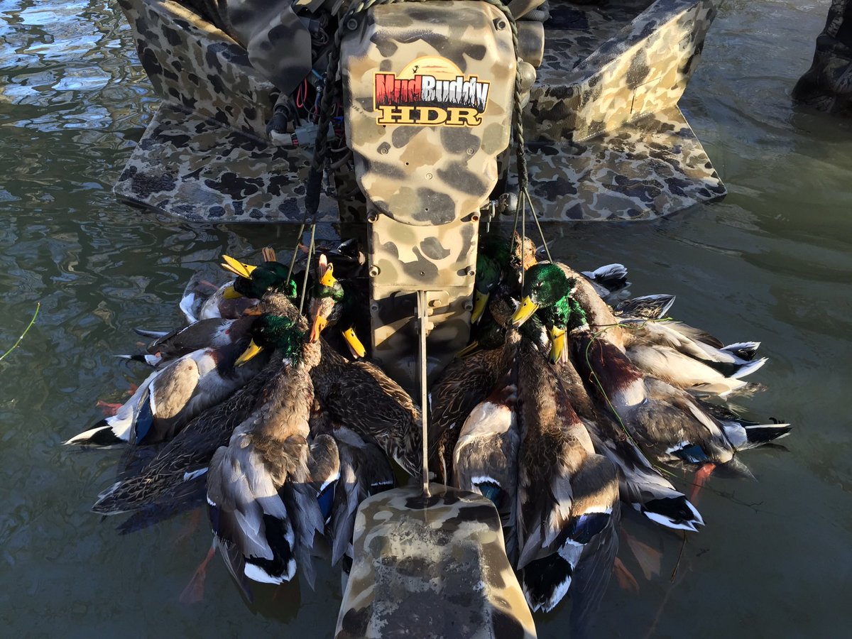 TABreashears1's tweet photo. I’m ready for a trip back home for some of this! #headedwestsoon #excelboats #duckseason https://t.co/G0QwTAvLwa