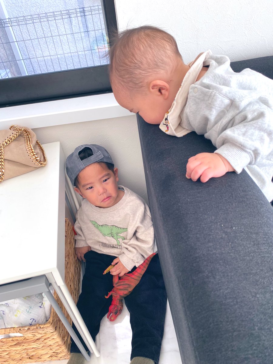 _leialoha_'s tweet photo. でかなったな2人とも🐵🐨 https://t.co/KyA0DH65wv