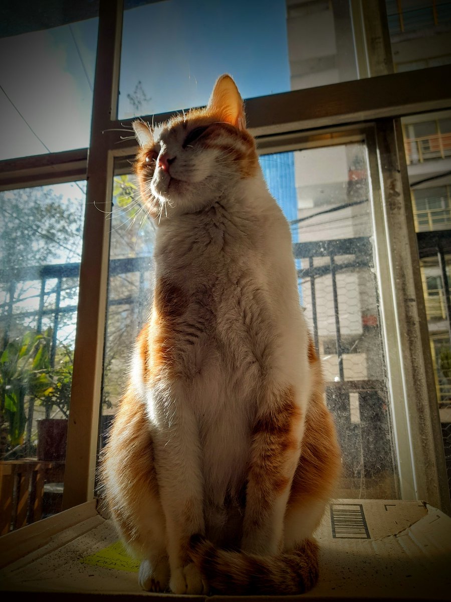 Nico Ruiz tweet media