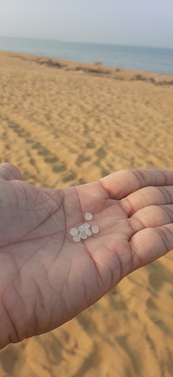HemindaJ's tweet photo. Plastic pellets from burnt X-Press Pearl after 6 months. #XPressPearl #zerotrash #Plastic https://t.co/kP4lhY5IO8