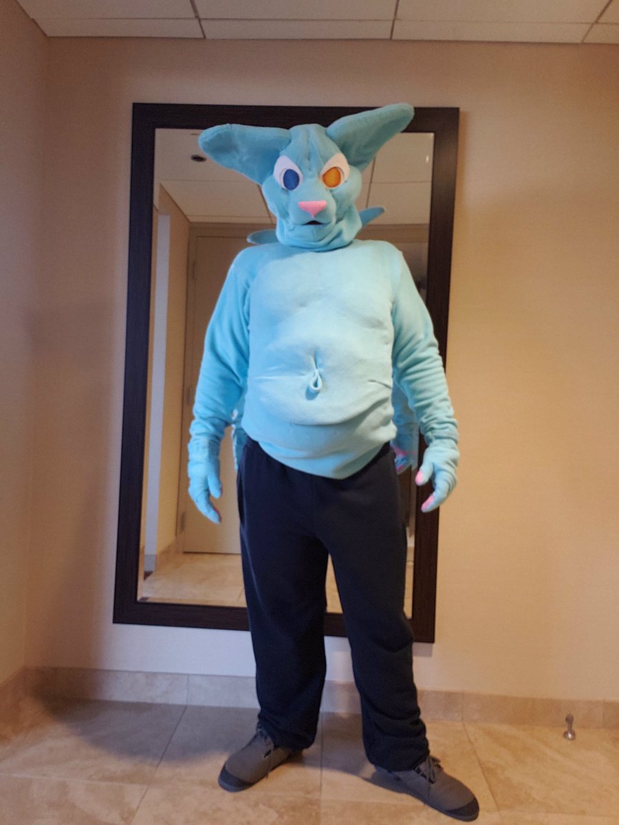 NeelTheSphynx's tweet photo. New suit made in 8 days before MFF https://t.co/GDqUyUYPKb