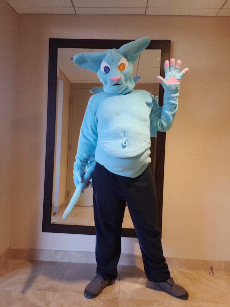NeelTheSphynx's tweet photo. New suit made in 8 days before MFF https://t.co/GDqUyUYPKb