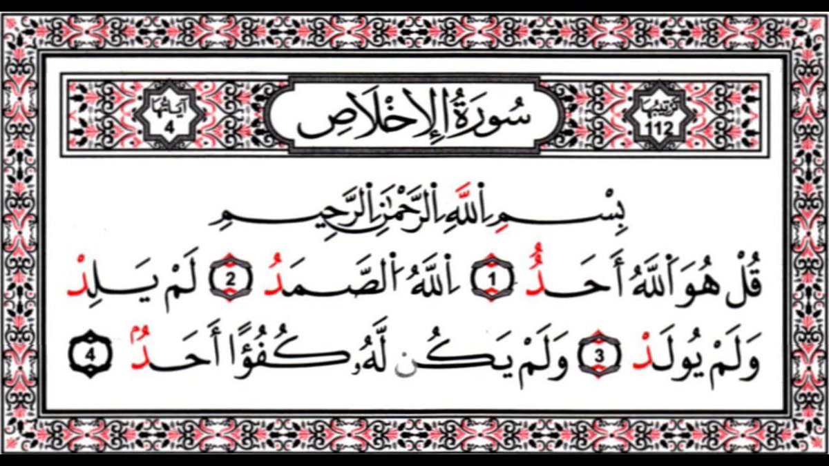 يزيد tweet media