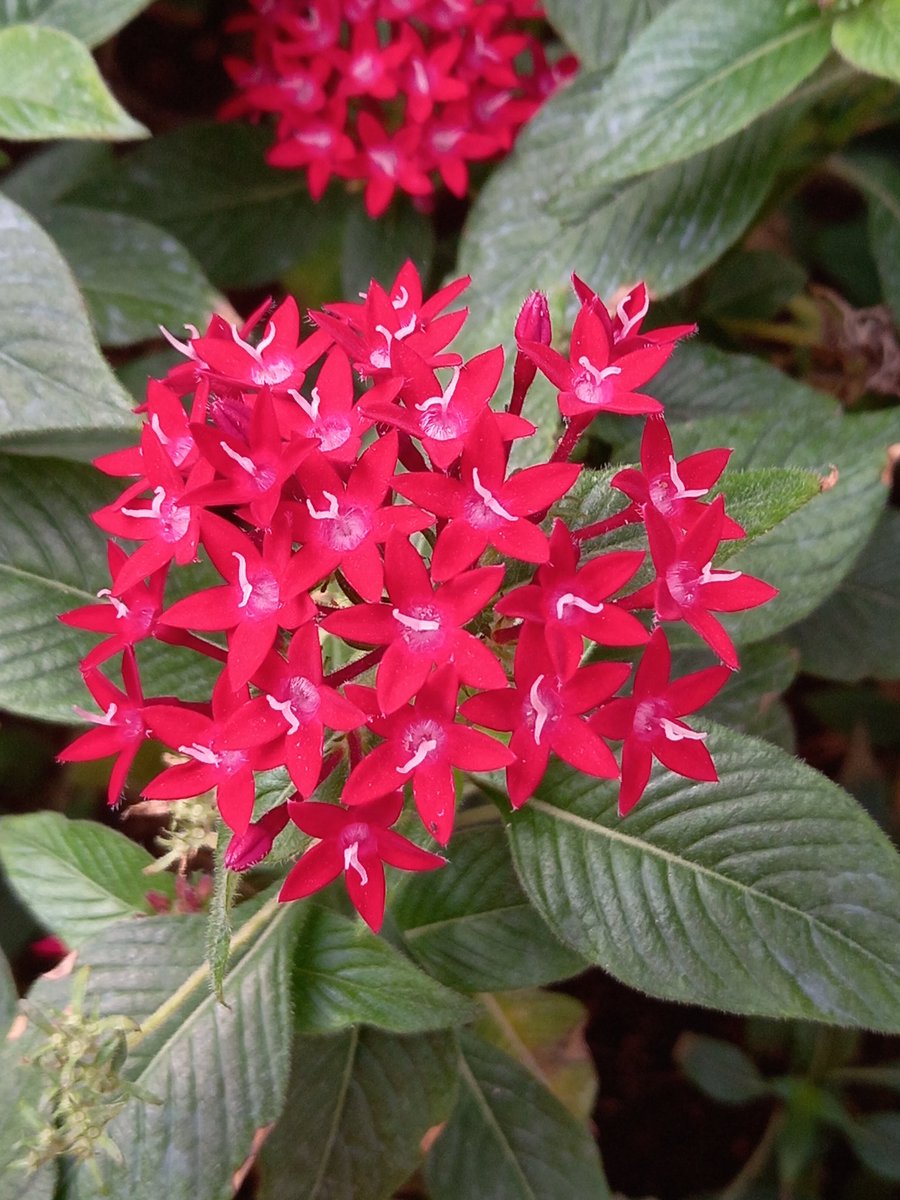 Good Morning 
<a href="/KalyaniMuktevi/">Kalyani Sharma</a>