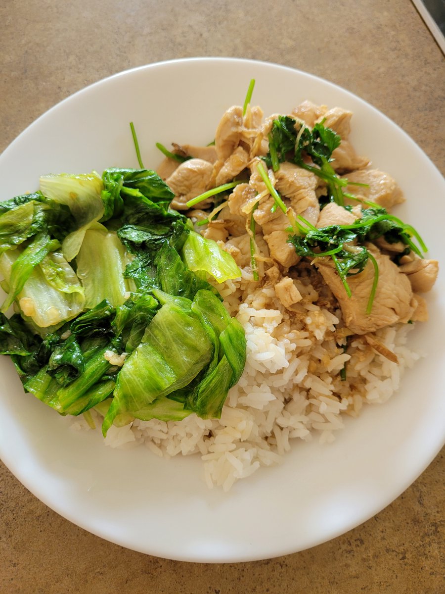 SoonLeeNZ's tweet photo. Rice. Wilted lettuce with garlic. Chicken, ginger, oyster sauce, coriander garnish. #CookingDiary #LockdownCooking #CookingWithLisa 
@lisaowennz #CookingWithCheckpoint 
@CheckpointRNZ https://t.co/hdzO2JkdLy