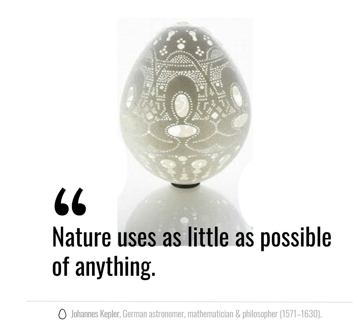 roelofse's tweet photo. 🥚#Keppler #Nature #Egguanimity https://t.co/PGgwC8wr9k