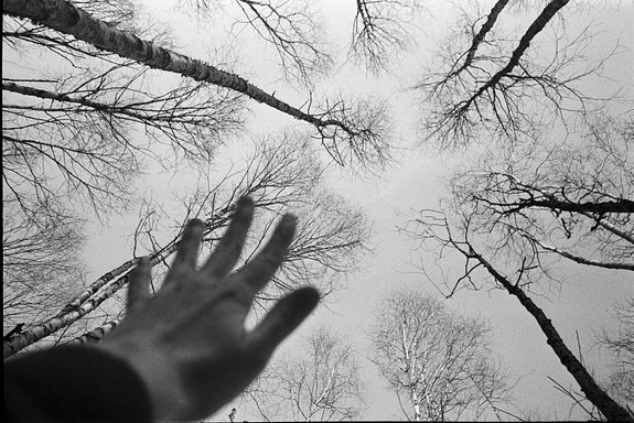 AngeliqueSlayyyn tweet media