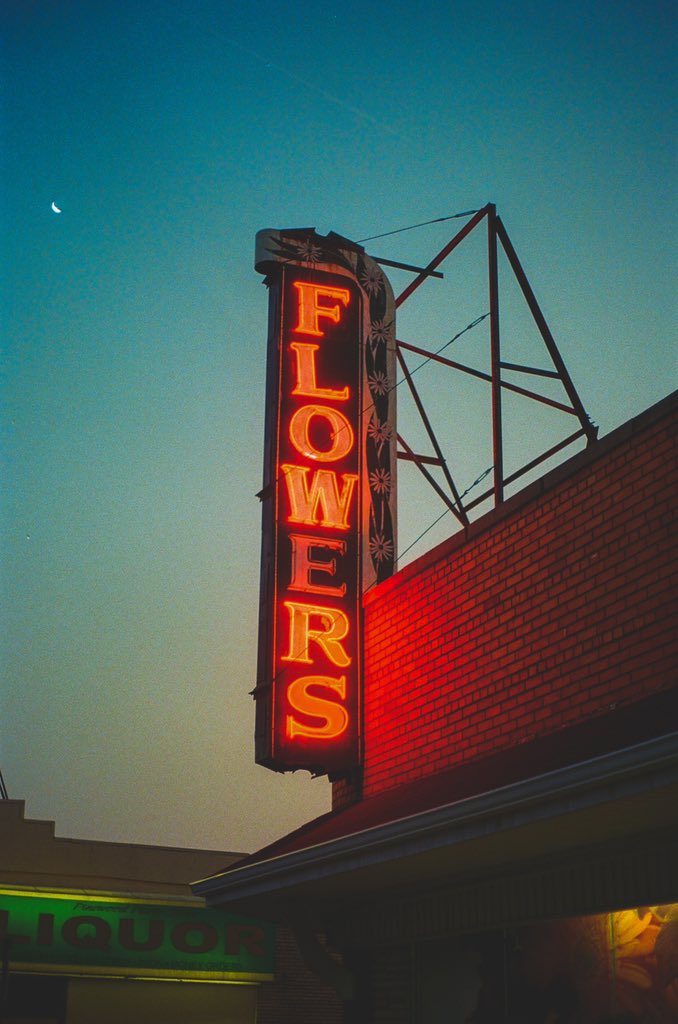 TonsWrld tweet media