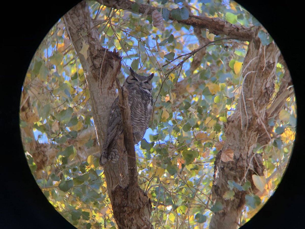 Chad Wilhite tweet media