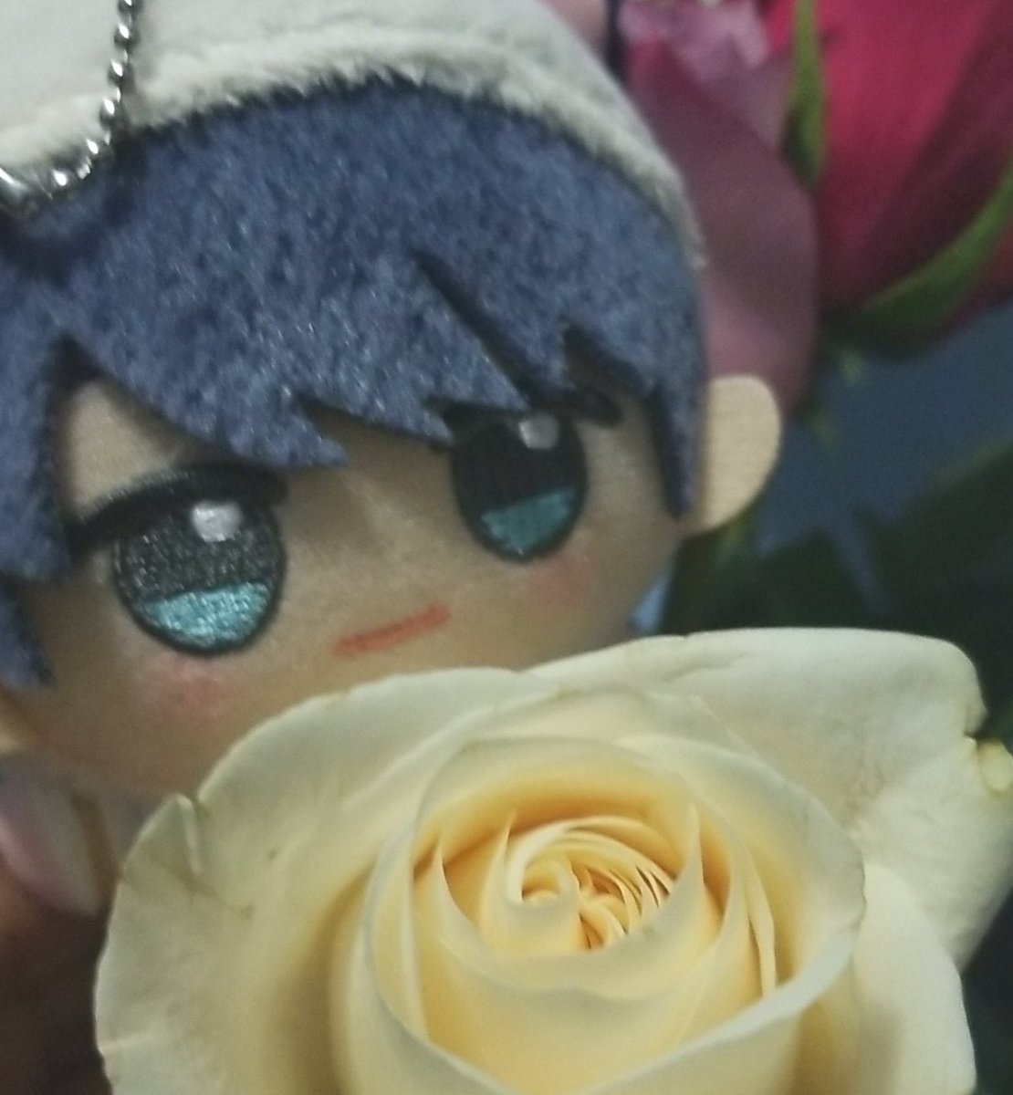 Look at the roses in bloom!