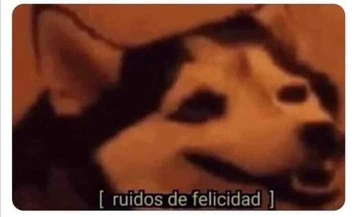 mfcarrilloberd1's tweet photo. yo viendo que volvio a salir mi poderosisimo mapachebaby #QuiénEsLaMáscara https://t.co/ZG0wIDnNPj