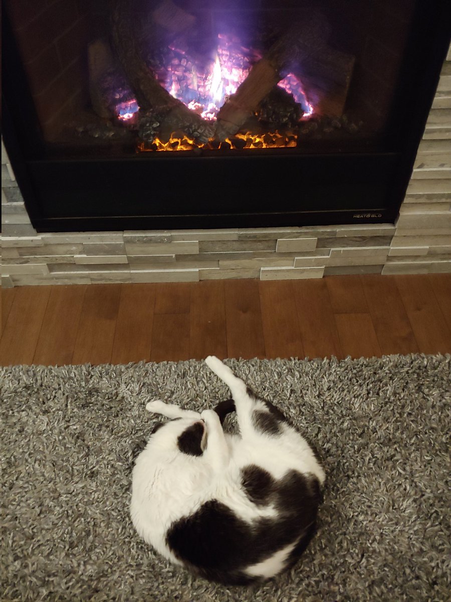 Tyler Flockhart tweet media