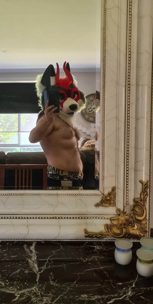 Zaroski Wolf tweet media