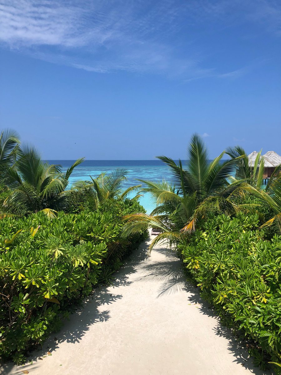 MAXMaldives (@max_maldives) on Twitter photo Receive -20% discount on the Bed & Breakfast room rate
maxmaldives.com/hotels/kandolh…
#Kandolhu #Kandolhu_Resort #Kandolhu_Maldives #KandolhuResort #KandolhuResortMaldives #Kandolhu_Resort_Maldives
maxmaldives.com <a href="/MAX_maldives/">MAXMaldives</a> #MAXMaldives info@MaxMaldives.com Receive -20% discount on the Bed & Breakfast room rate
maxmaldives.com/hotels/kandolh…
#Kandolhu #Kandolhu_Resort #Kandolhu_Maldives #KandolhuResort #KandolhuResortMaldives #Kandolhu_Resort_Maldives
maxmaldives.com <a href="/MAX_maldives/">MAXMaldives</a> #MAXMaldives info@MaxMaldives.com