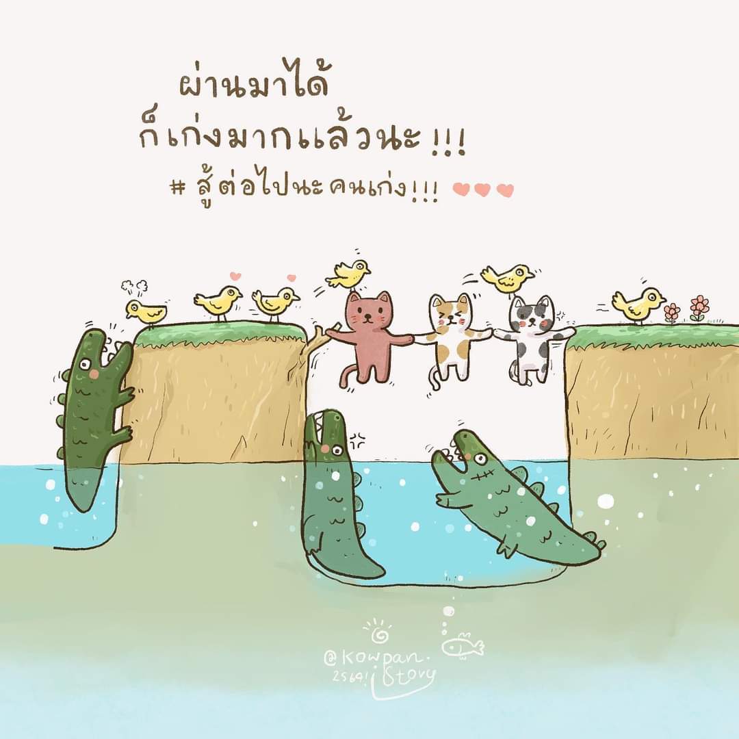 KowpanStory tweet picture