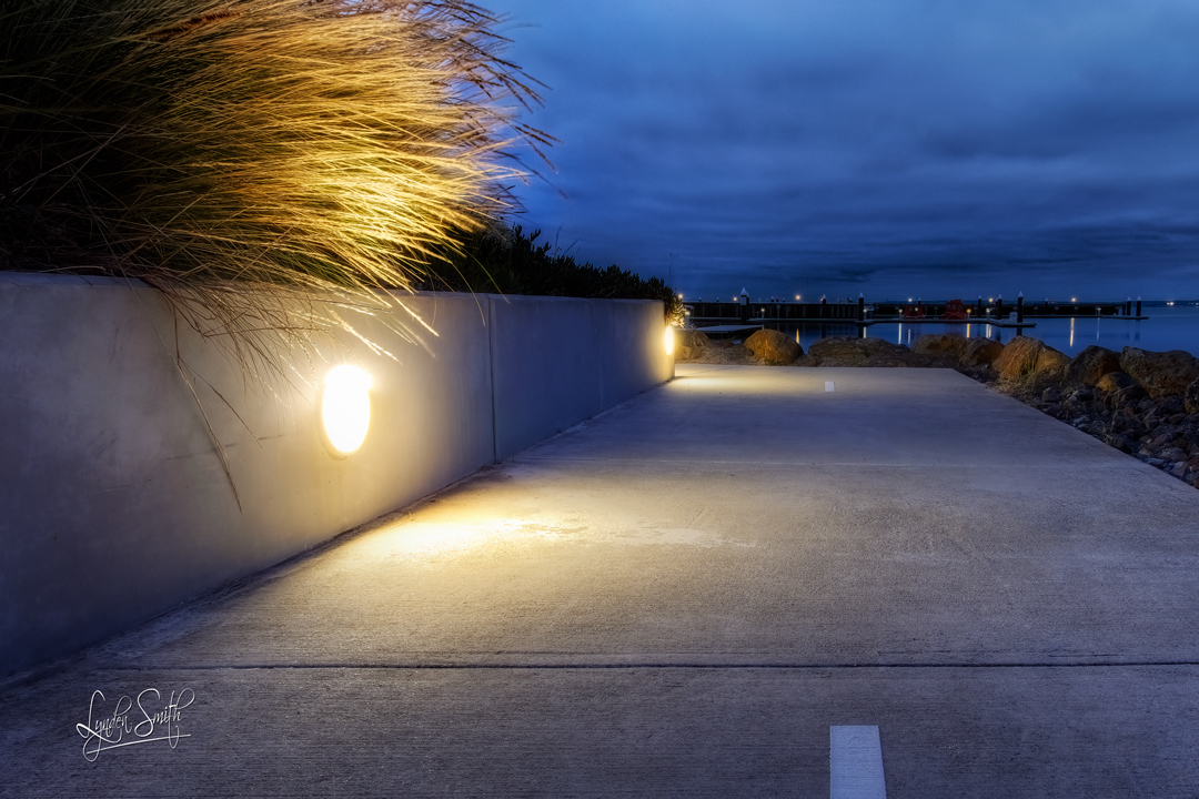 LyndenJSmith's tweet photo. Photo of the day, 'A LITTLE DIFFERENT'. Full daily blog & photograph at https://t.co/CiI4A3b1G2 #potd #Rippleside #Victoria #Australia https://t.co/ghM8yaKYJA