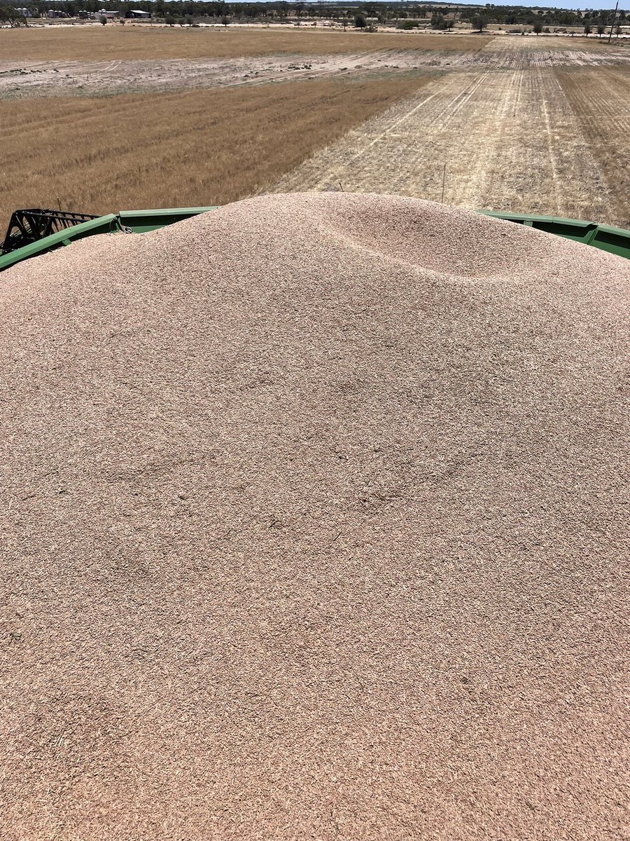 Clint Butler tweet media