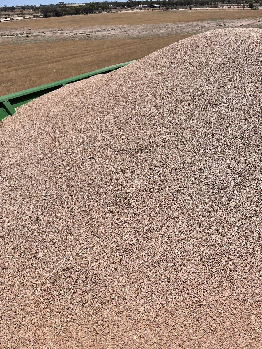 Clint Butler tweet media