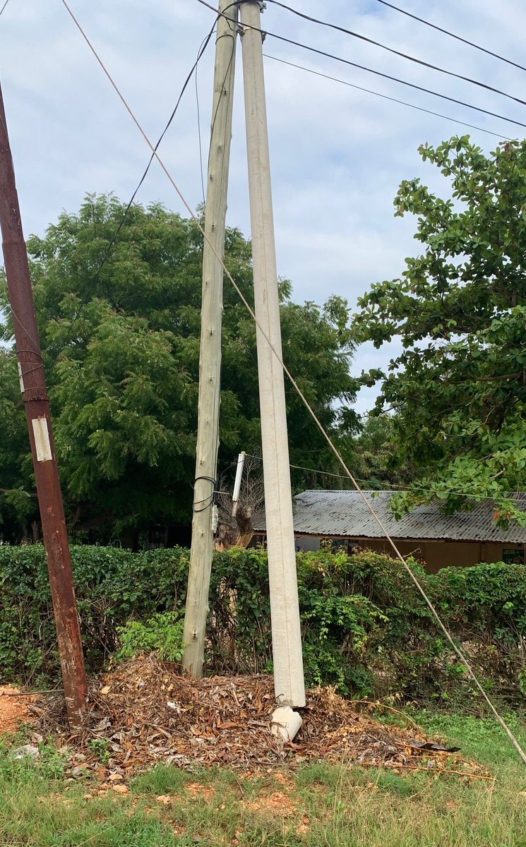 GreenResources's tweet photo. Witnessed in Dar es Salaam: wooden pole supporting a failing concrete pole. We strongly believe Wooden Poles are reliable, cost effective, environmentally friendly, substitute imported materials and create benefits to rural economies
#smallholders #treatedpoles #electrification https://t.co/E1W4RAgbW5