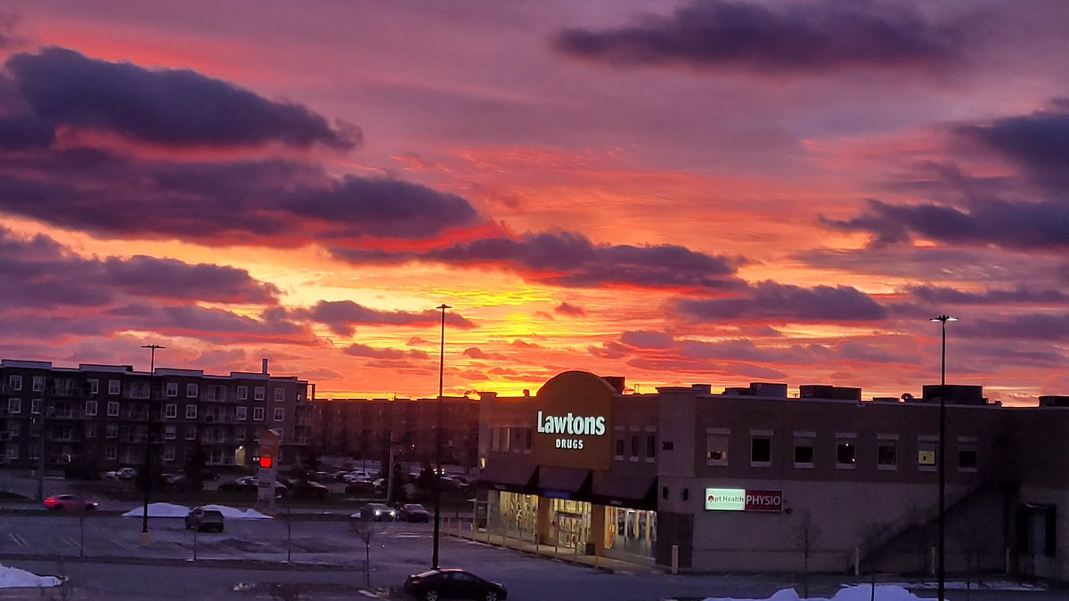 LisaCadger's tweet photo. Pretty start. #MondayMotivation #workfromoffice #lawtons https://t.co/IV7wluxTvL
