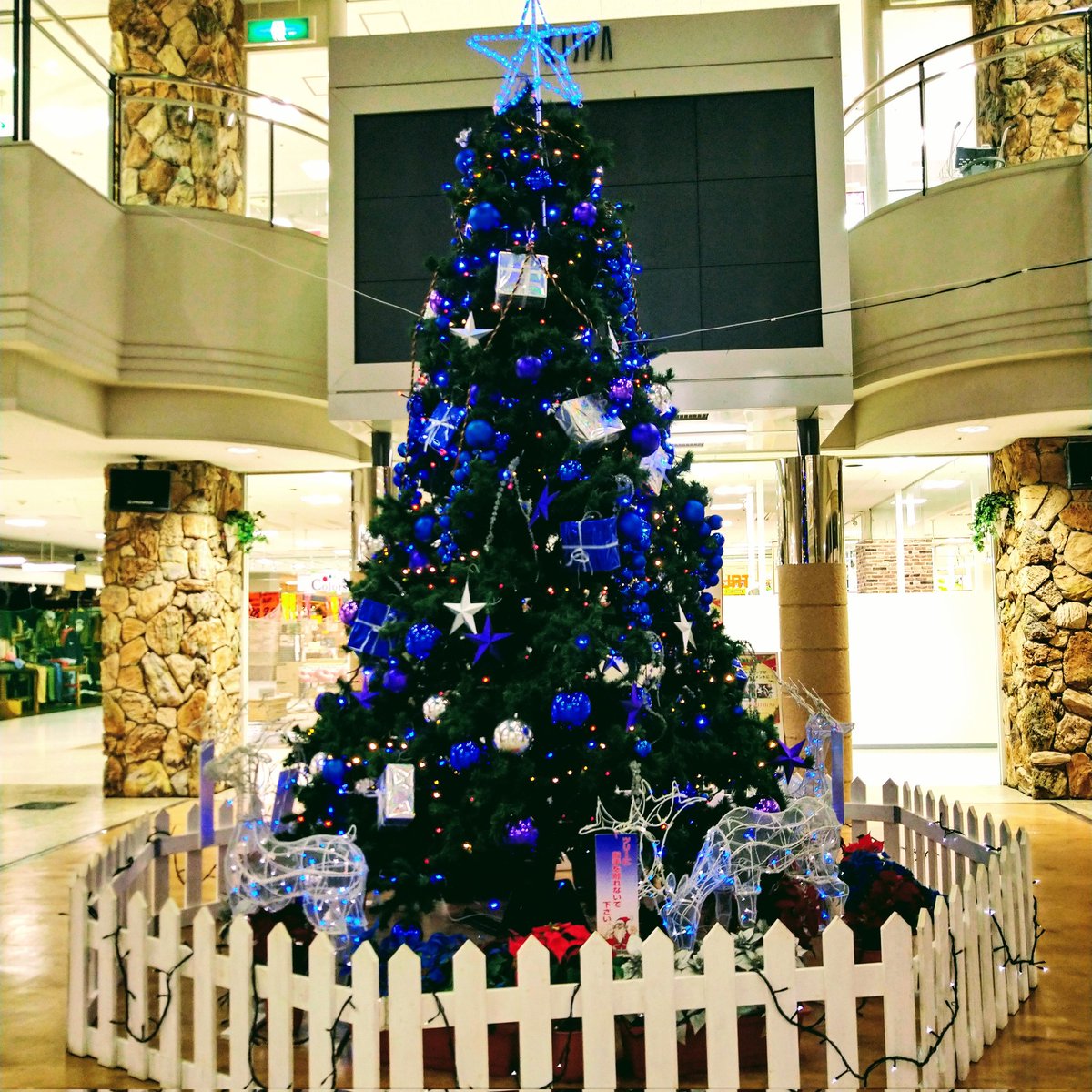 meirin_cat37's tweet photo. 例年より少し遅れましたが、本日キスパプラザにブルークリスマスツリーが設置されました。
とっても美しくて癒されますね🎅🎁🎄
クリスマスプレゼントを探しに、ぜひラパークに御来店下さい✨
当店も色々揃えてお待ちしてます♥
 #ラパーク岸和田 #春木  #リフィール  #リ・フィール   #KISPA https://t.co/ZwU9tVX1GY