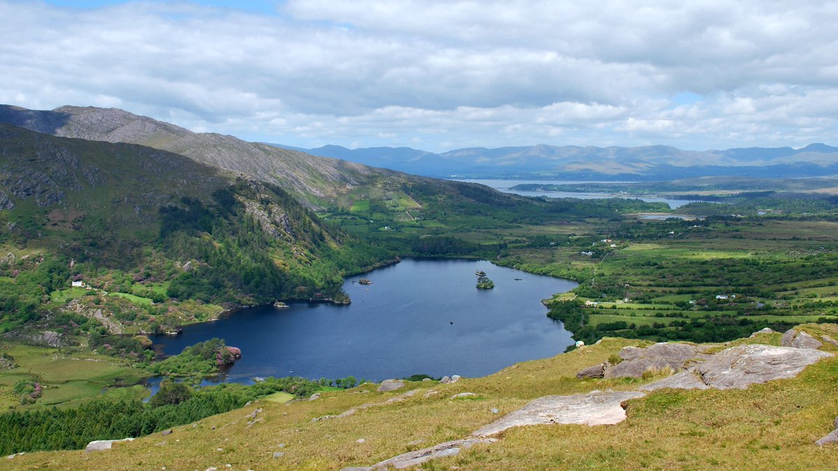 Ireland Today tweet media