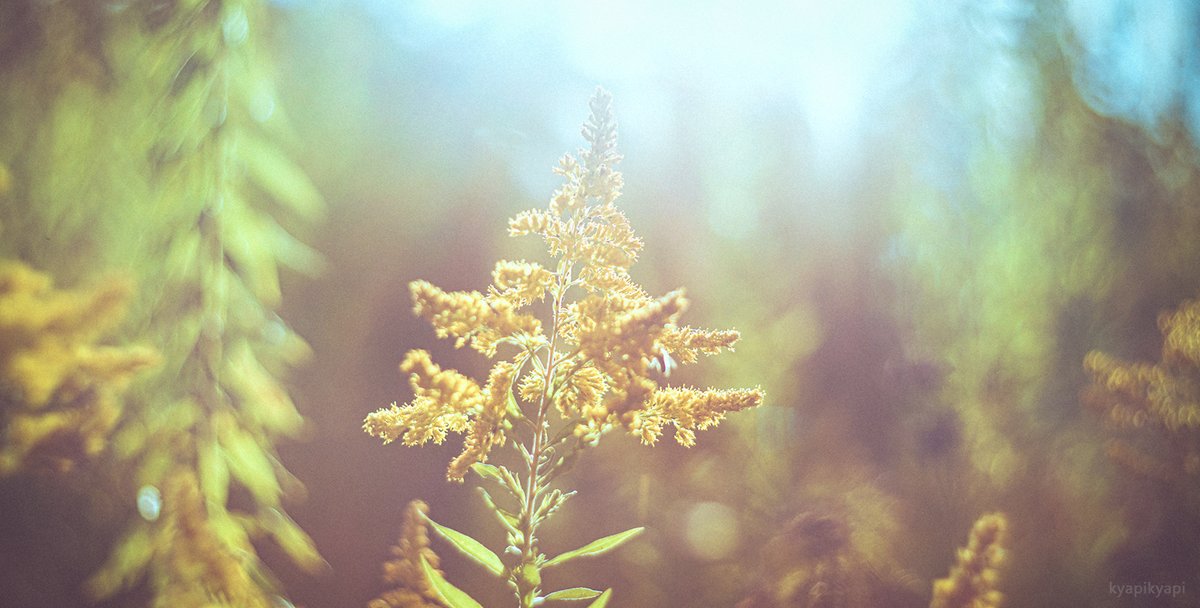 KyapiPhoto's tweet image. 絵画のよう

#photography
#PhotographyIsArt
#写真好きな人と繫がりたい
#写真撮ってる人と繋がりたい
#写真で伝える私の世界
#ファインダー越しの私の世界